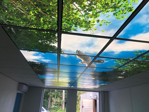 Wolken Projecten