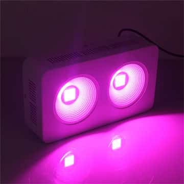 Led Growlights