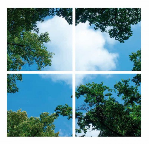 Plexiglas Voor Wolkenplafons- Alleen Prints - 5239-sll-wolk-prints