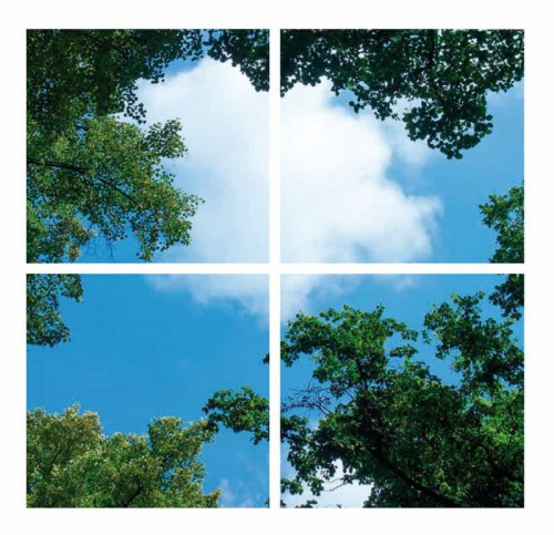 5239-sll-wolk-prints 