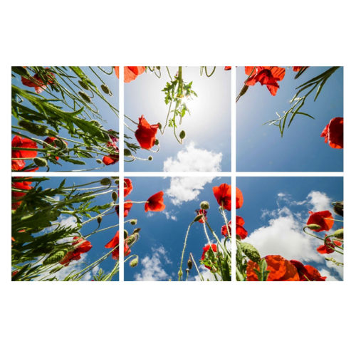 Plexiglas Voor Wolkenplafons- Alleen Prints - 5239-sll-wolk-prints
