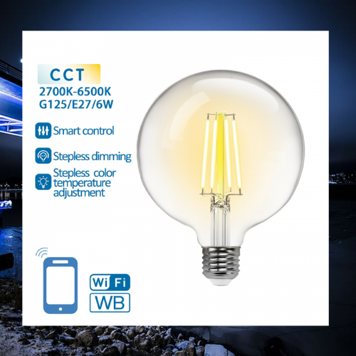 LED LAMPEN SMART 6W-E27-filement BOL-CCT-WIFI - 6560-d80*h117mm bol