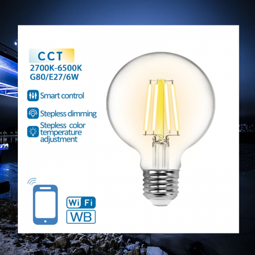 LED LAMPEN SMART 6W-E27-filement BOL-CCT-WIFI - 6562-ledtraco d125*h163mm