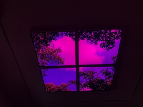 5261-paneel-wolk-bos opbouwframe 