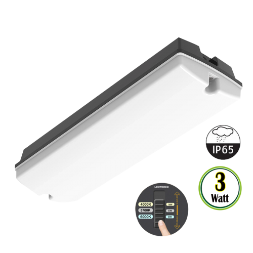 PORTIEKVERLICHTING | PAN | 3W | ZWART | MILKY COVER | CCT-SWITCH - 9466-swinckels portiek 3w zwart