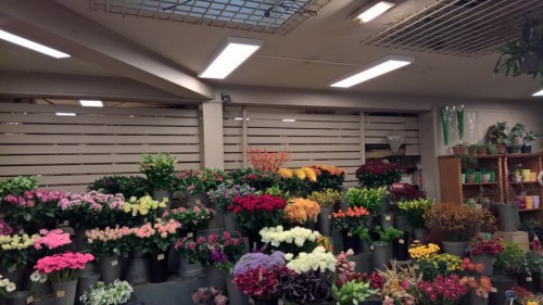 Bloemenboetiek Anil